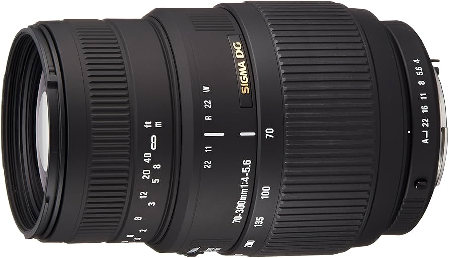 Amazon.com : Sigma 70-300mm f/4-5.6 DG Macro Telephoto Zoom Lens
