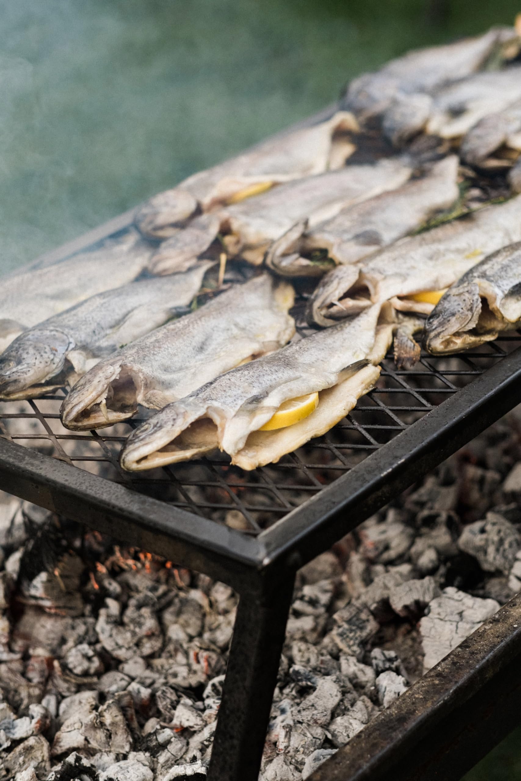 Amazon | BAREBONES(ベアボーンズ) ヘビーデューティーグリルグレート