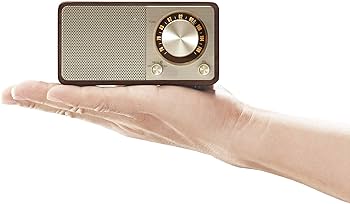 Amazon.co.jp: SANGEAN FMラジオ対応 ブルートゥーススピーカー