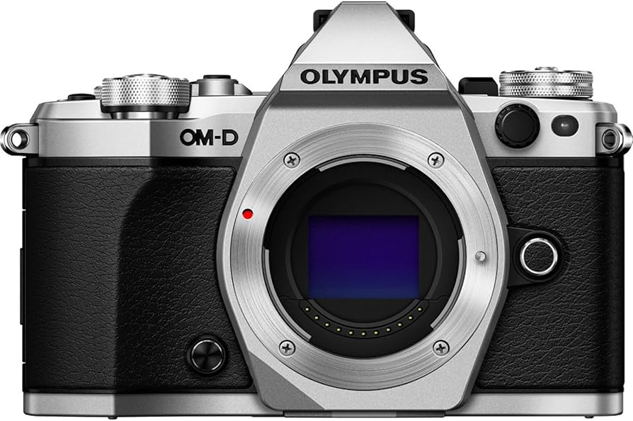 Amazon.com : OM SYSTEM Olympus OM-D E-M5 Mark II (Silver) (Body