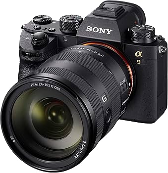 Amazon.co.jp: Sony (ソニー) - FE 24-105mm F4 G OSS 標準ズーム