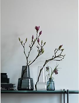 81rhZV-1IiL._AC_UF350,