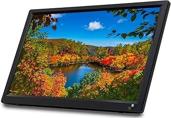 Amazon | OVERTIME 15.6インチ録画機能付きポータブルテレビ OT