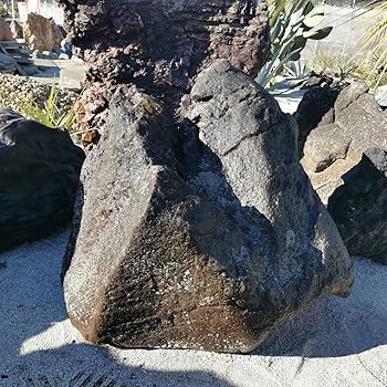 Amazon.co.jp: 鳥海石408キロ庭石鑑賞石石盆石水石灯籠庭坪庭盆栽