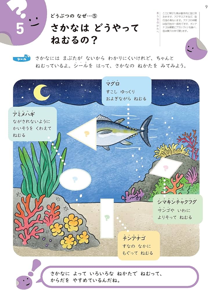 Amazon.co.jp: 4さいからできる みぢかなぎもん (シールたっぷり