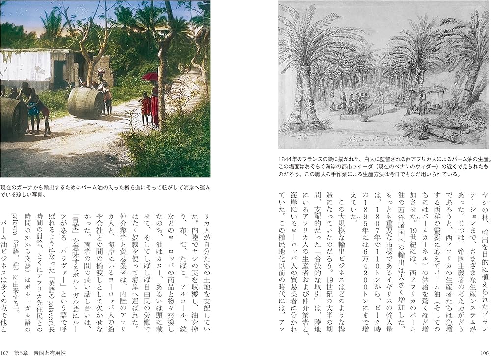 ヤシの文化誌 (花と木の図書館) | フレッド・グレイ, 上原 ゆうこ |本