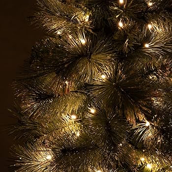 Amazon.co.jp: 【2024年モデル】Francfranc フランフラン LED 50球付き