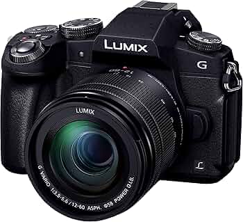 915r-oGbfcL._AC_UF350,