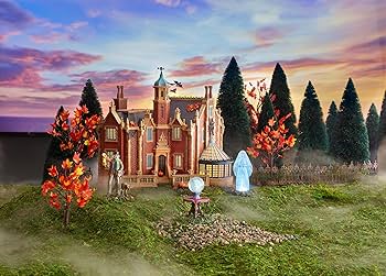 916HudhD6WL._AC_UF350,