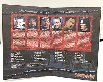 Amazon.co.jp: ビヨンド・ザ・マット [DVD] : テリー・ファンク