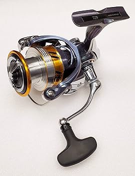 Amazon | ダイワ(DAIWA) リーガル LT スピンリール-RGLT3000D-C ブルー