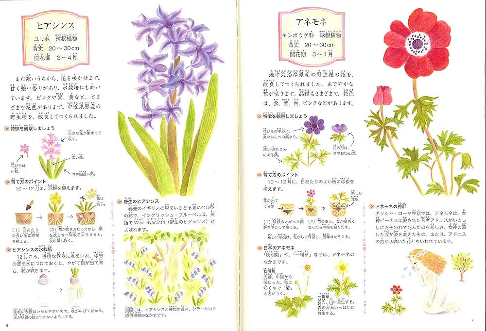 庭に咲く花えほん | 前田 まゆみ, 前田 まゆみ |本 | 通販 | Amazon