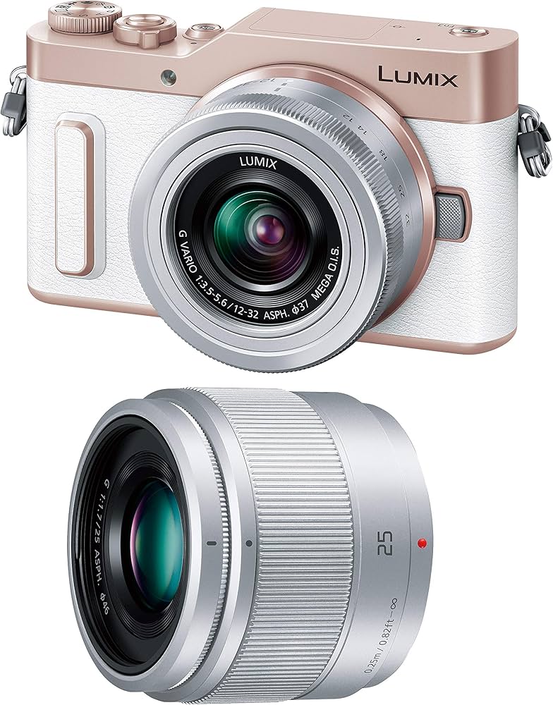 Amazon.co.jp: Panasonic Lumix GF90 Mirrorless Single Lens Camera
