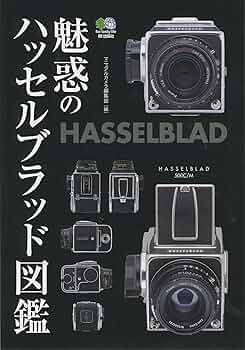 919GqkEy-fL._AC_UF350,