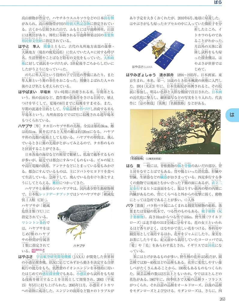 Amazon.co.jp: 総合百科事典ポプラディア 新訂版 : 本