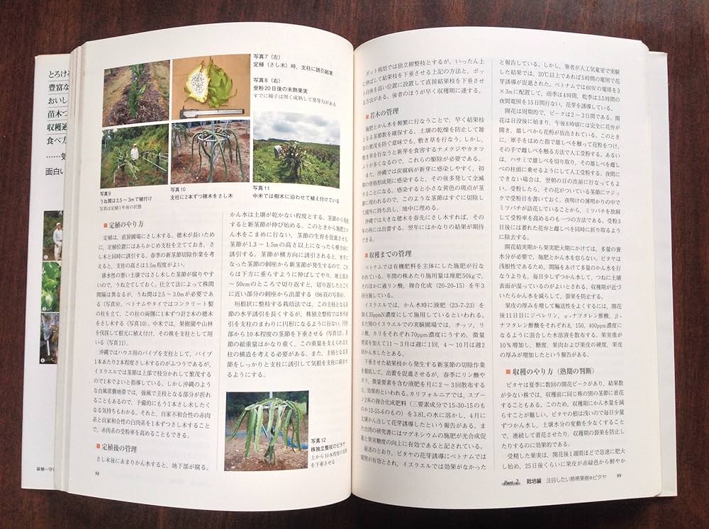 熱帯果樹の栽培: 完熟果をつくる・楽しむ28種 | 米本 仁巳 |本 | 通販