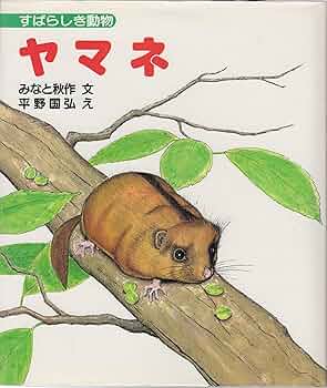 912oQ6TsI8L._AC_UF350,