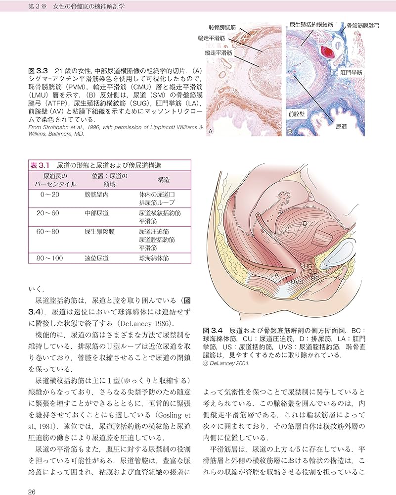エビデンスに基づく骨盤底の理学療法 原著第2版 科学と臨床をつなぐ