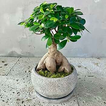 913LmMOsyrL._AC_UF350,