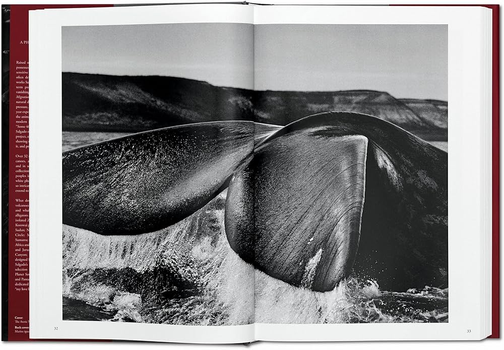 Amazon.com: Sebastião Salgado. GENESIS: 9783836538725: Salgado