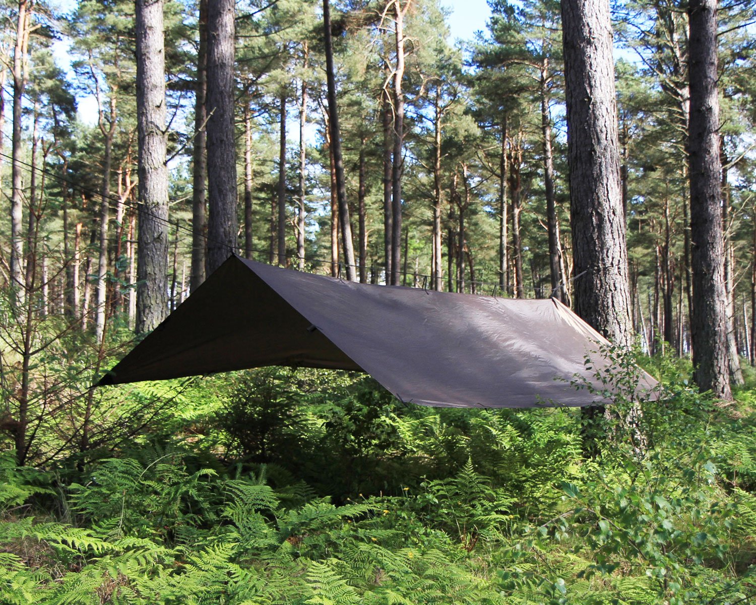 Amazon | DD Hammocks DD タープ XL (コヨーテブラウン) 正規品 | DD