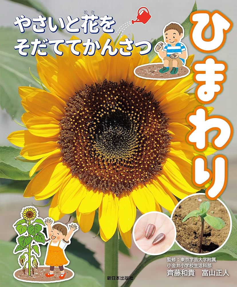 ひまわり (やさいと花をそだててかんさつ) | 東京学芸大学附属小金井