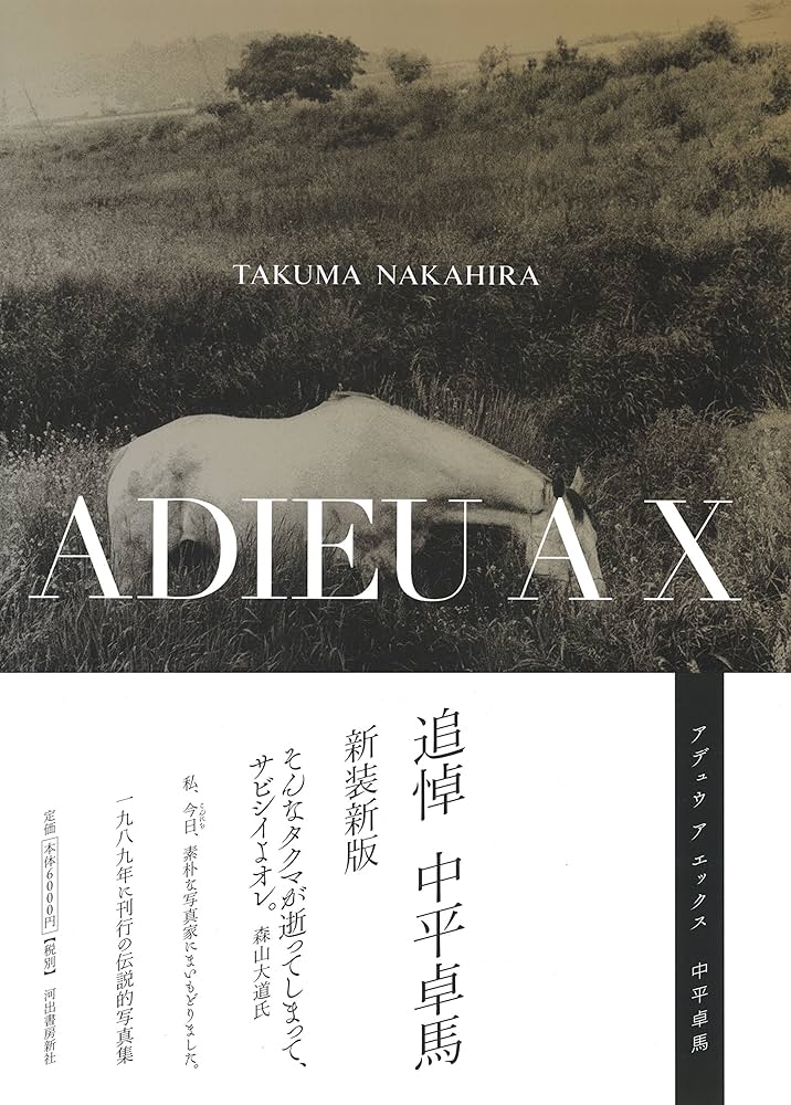 ADIEU A X | 中平卓馬 |本 | 通販 | Amazon