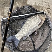 Amazon | 宇崎日新 ロッド 翔龍 鯉 硬調 210 | Uzaki Nissin | へら・鯉竿