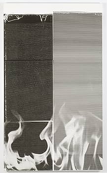 Amazon | Vitamin P2: New Perspectives in Painting | Phaidon Press