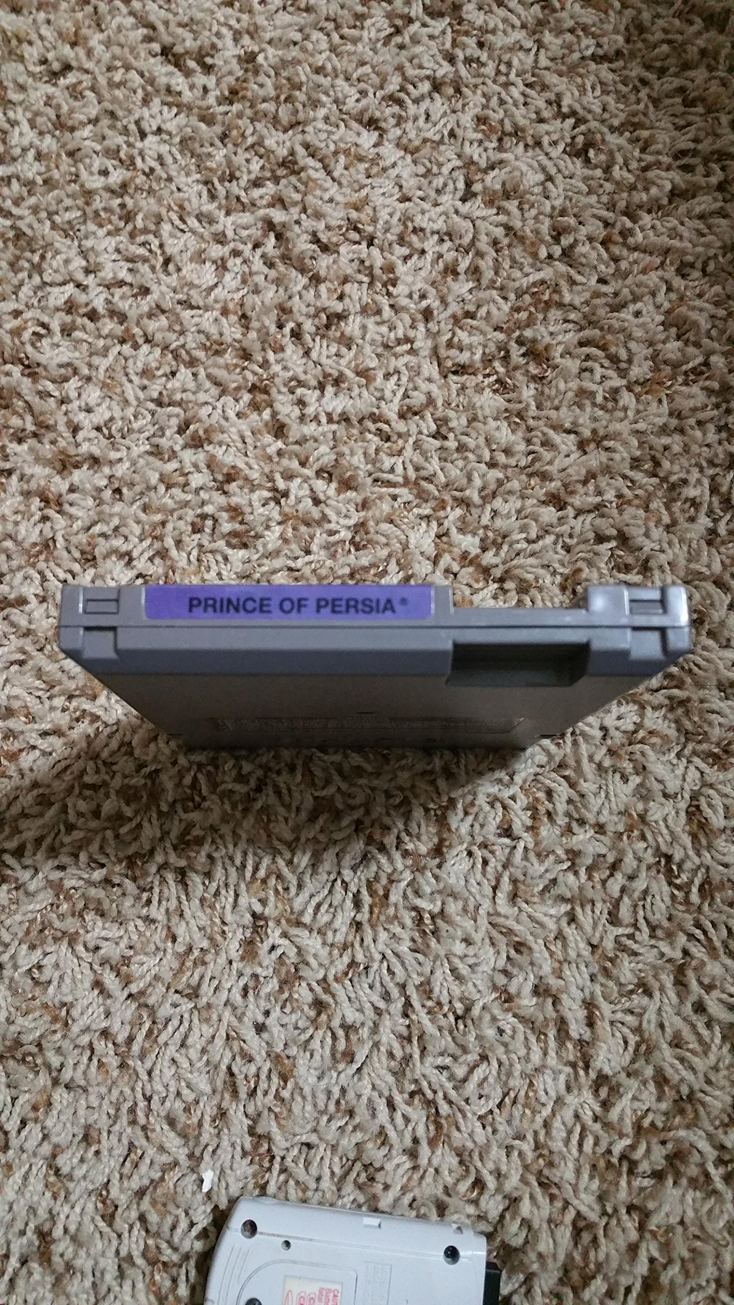 Amazon.com: Prince of Persia - Nintendo NES : Video Games