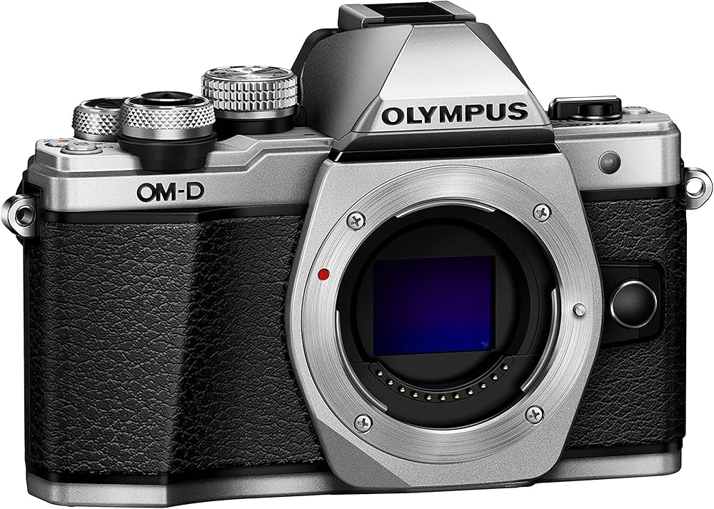 Amazon.co.jp: OLYMPUS ミラーレス一眼 OM-D E-M10 MarkII ボディー