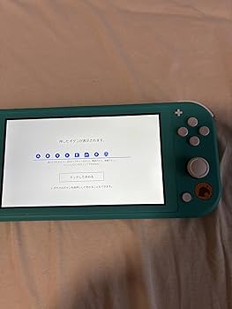 Amazon.co.jp: Nintendo Switch Lite あつまれ どうぶつの森セット
