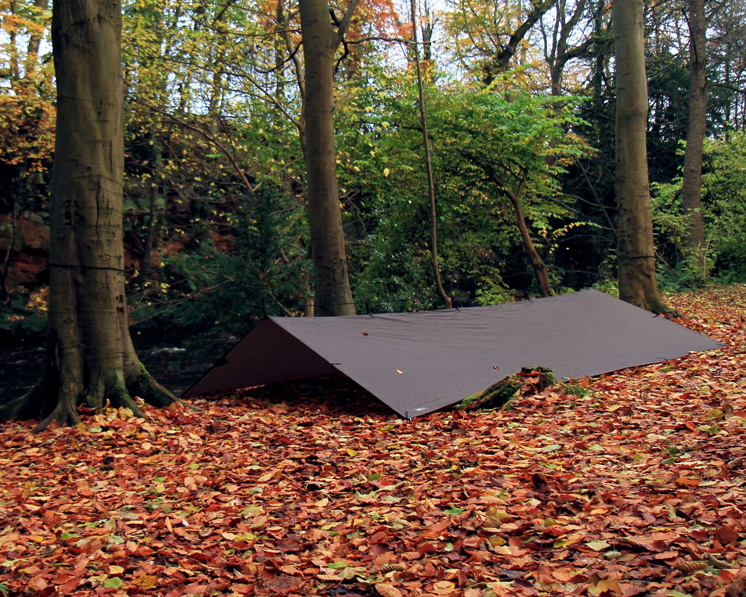 Amazon | DD Hammocks DD タープ XL (コヨーテブラウン) 正規品 | DD