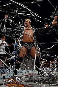 Amazon.co.jp: 全日本プロレス コンプリートファイル2012 [DVD