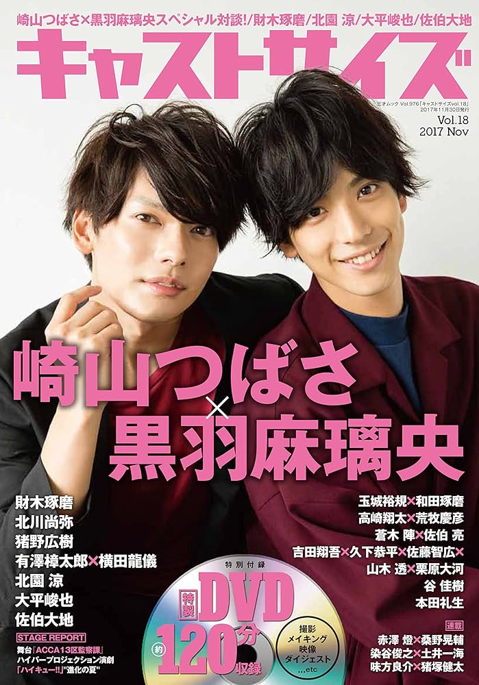 Amazon.co.jp: キャストサイズ vol.18 (三才ムックvol.976) : 本