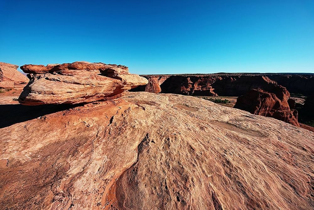 Amazon | SIGMA 広角ズームレンズ 8-16mm F4.5-5.6 DC HSM ニコン用