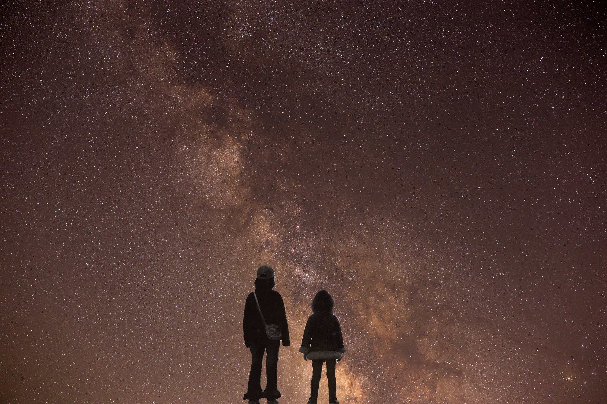 Amazon | ハヤブサMk3 ポータブル手動式赤道儀フルサイズ対応