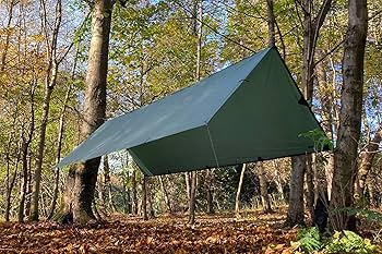 Amazon | DD Hammocks DD タープ XL (オリーブグリーン) | DD Hammocks