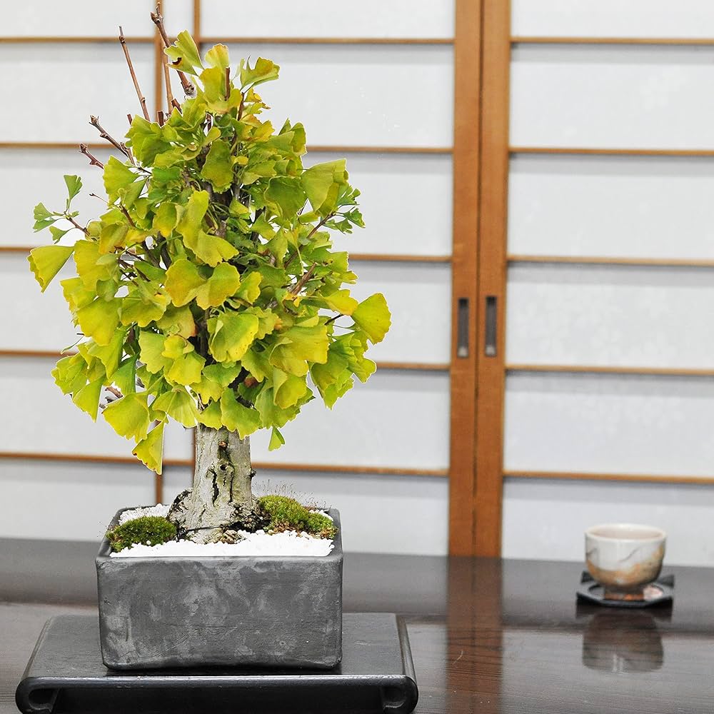 91IT7OV3UNL._AC_UF1000,