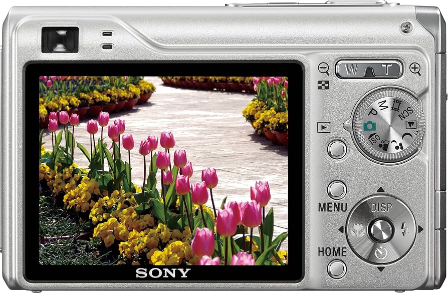 Amazon.com : Sony Cybershot DSCW200 12.1MP Digital Camera with 3x