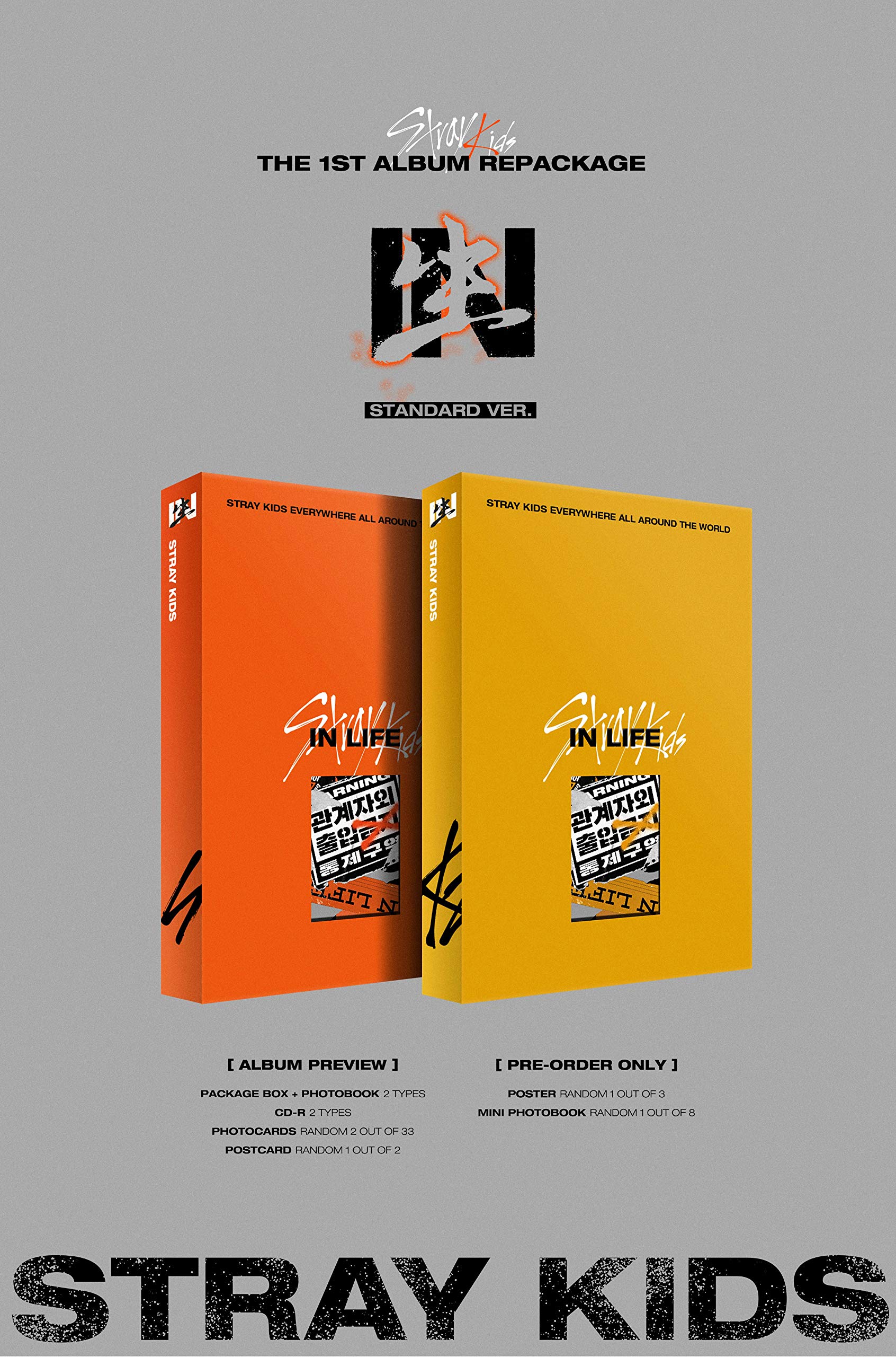Amazon.co.jp: STRAY KIDS - IN生 IN LIFE[スタンダードVer.-Bタイプ