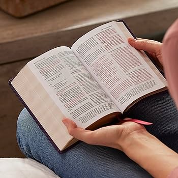 NKJV Compact Paragraph-Style Bible w/ 43,000 Cross References