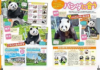 るるぶ和歌山 白浜 パンダ 高野山 熊野古道'26 (るるぶ情報版) | JTB