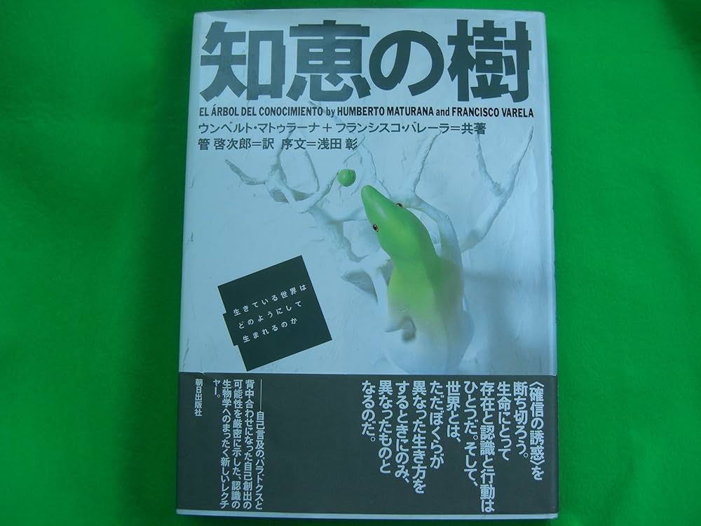 モーツァルトの奇跡! 驚異の