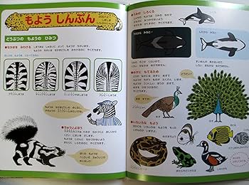 Amazon.co.jp: キンダーブック しぜん 絵本セット 各種 (絵本古書