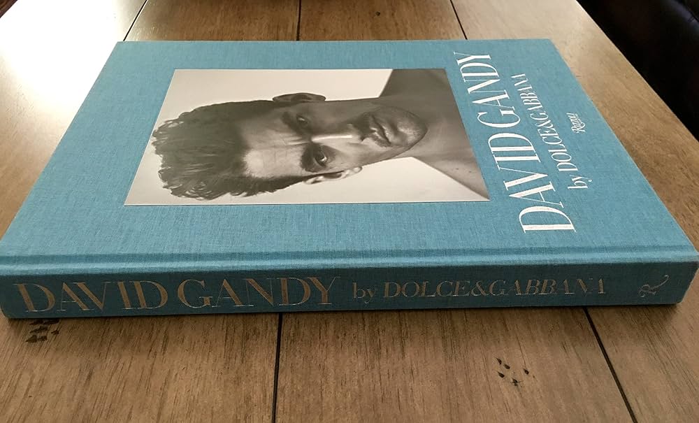 David Gandy by Dolce & Gabbana: The Male Icon: Howarth, Peter