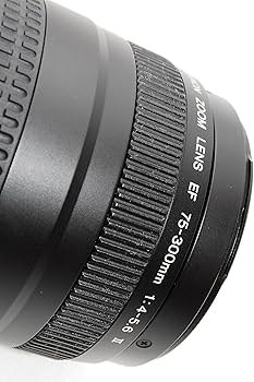 Amazon.co.jp: Canon EF 75-300mm F4-5.6 II USM Zoom Lens : Electronics
