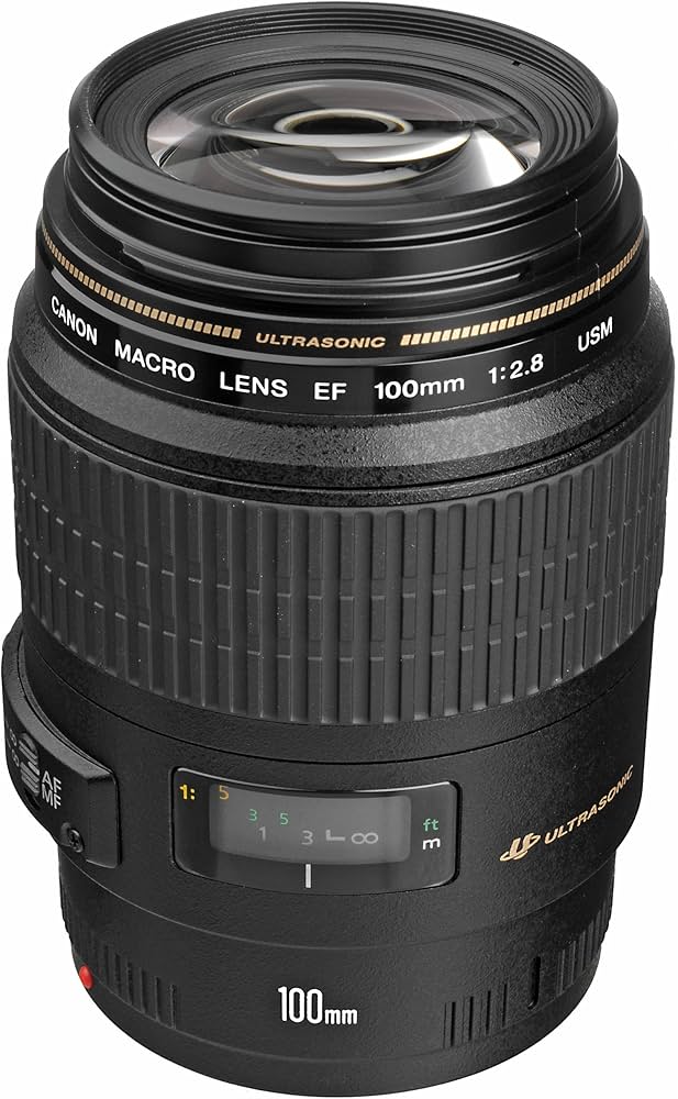 Buy Canon EF 100mm f/2.8L is USM Macro Prime Lens for Canon