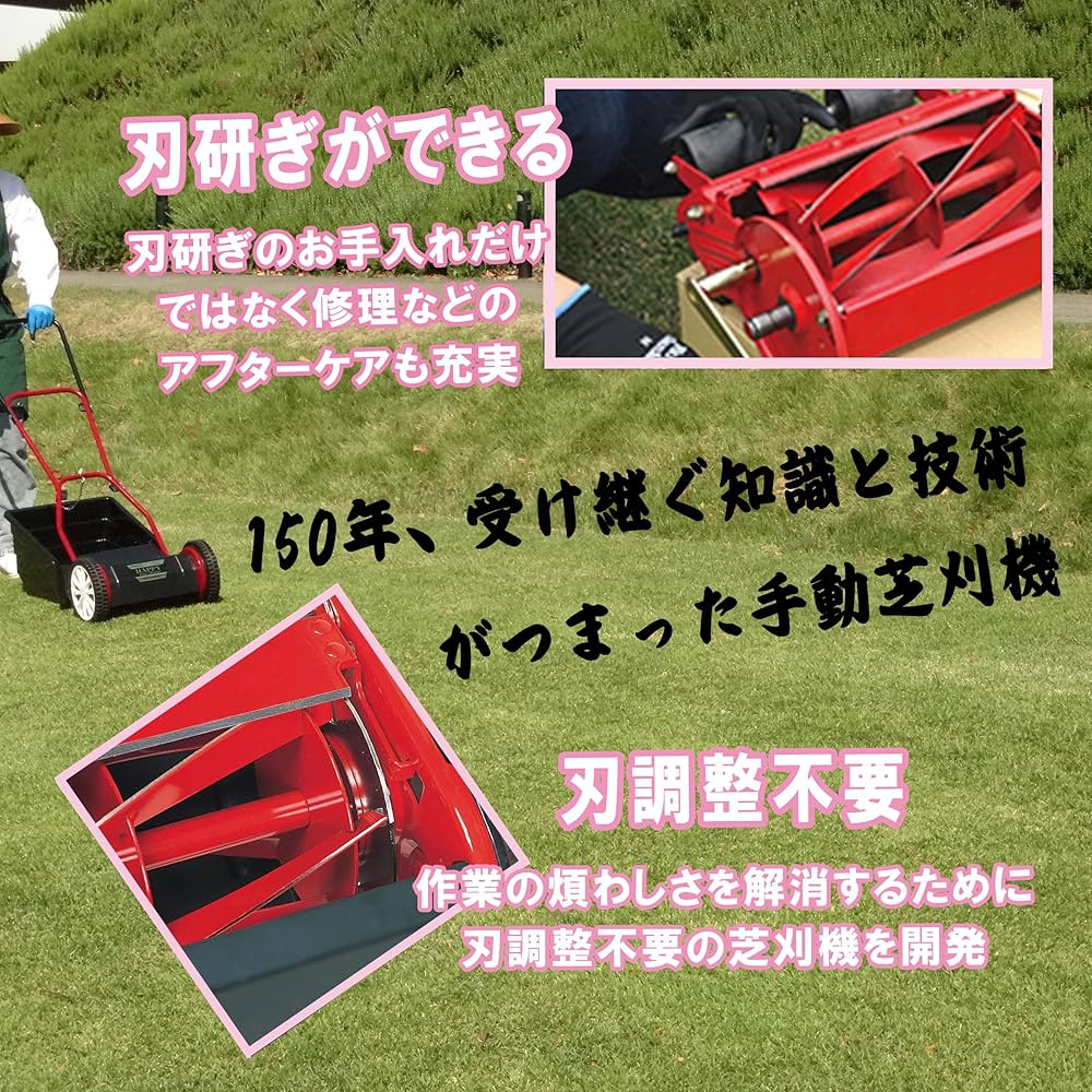 Amazon.co.jp: キンボシ(Kinboshi)ゴールデンスター ハッピーファイン