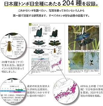 日本のトンボ 改訂版 (ネイチャーガイド) | 尾園 暁, 川島逸郎, 二橋